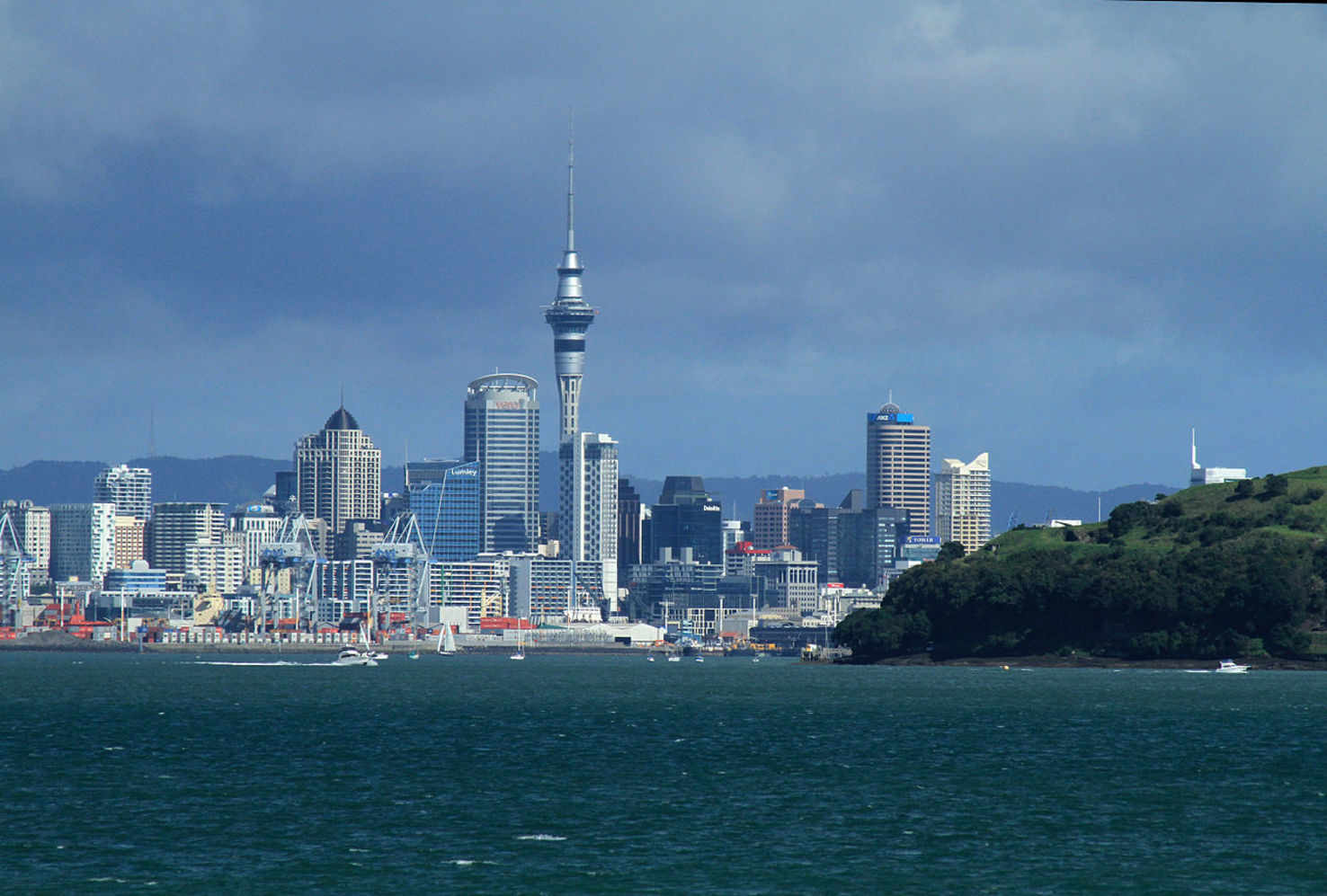 Large auckland  2 