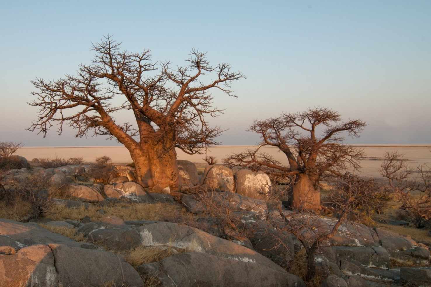 Botswana Discovery With Zimbabwe And South Africa Vacation Package