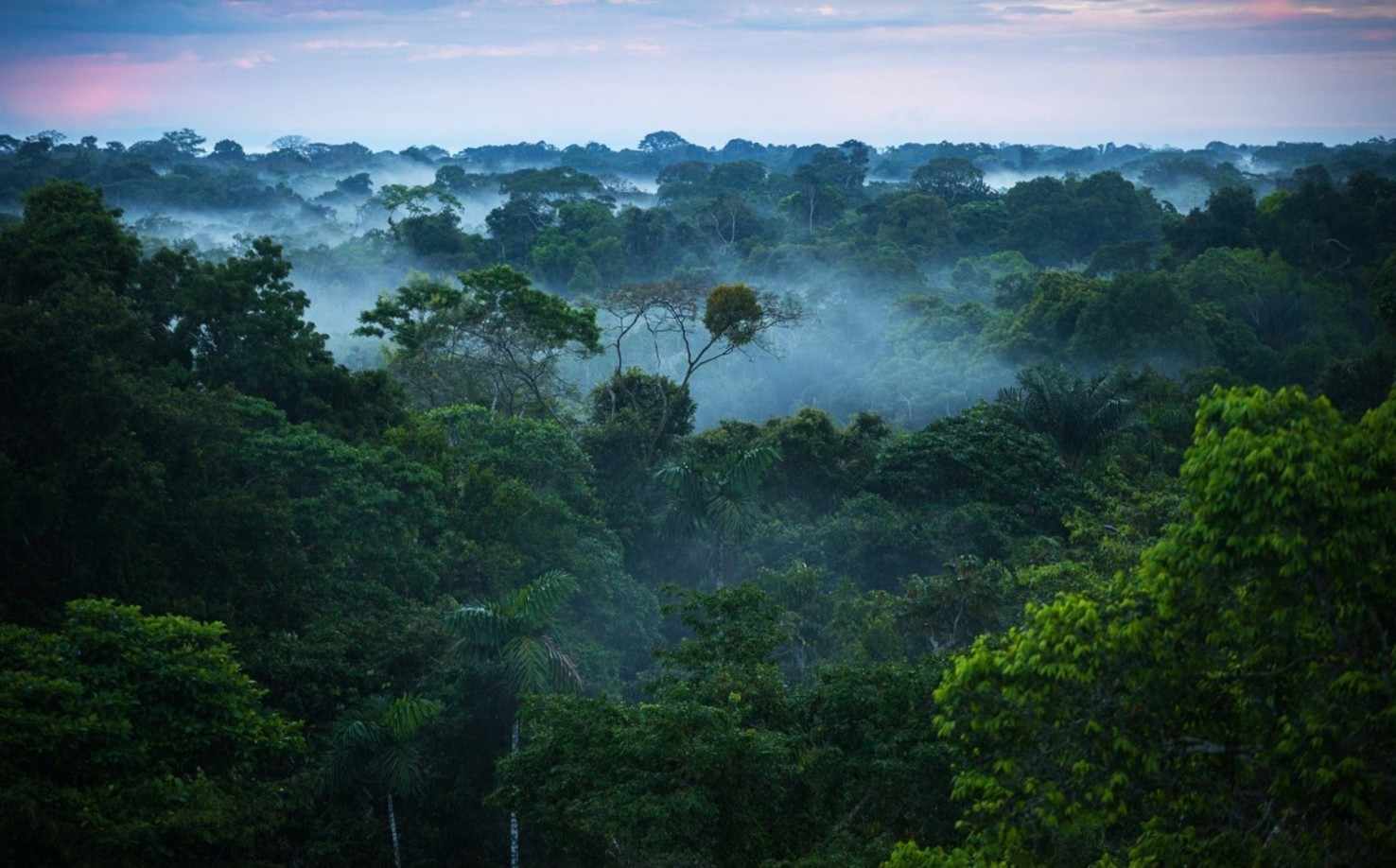 Amazonian Adventure   Brazil Tour Package