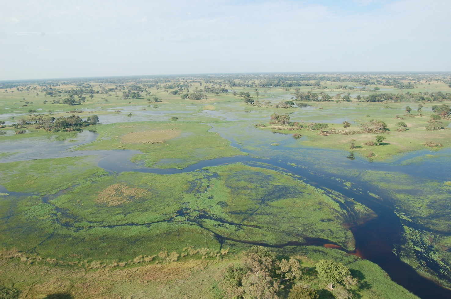 Large okavango delta  botswana 