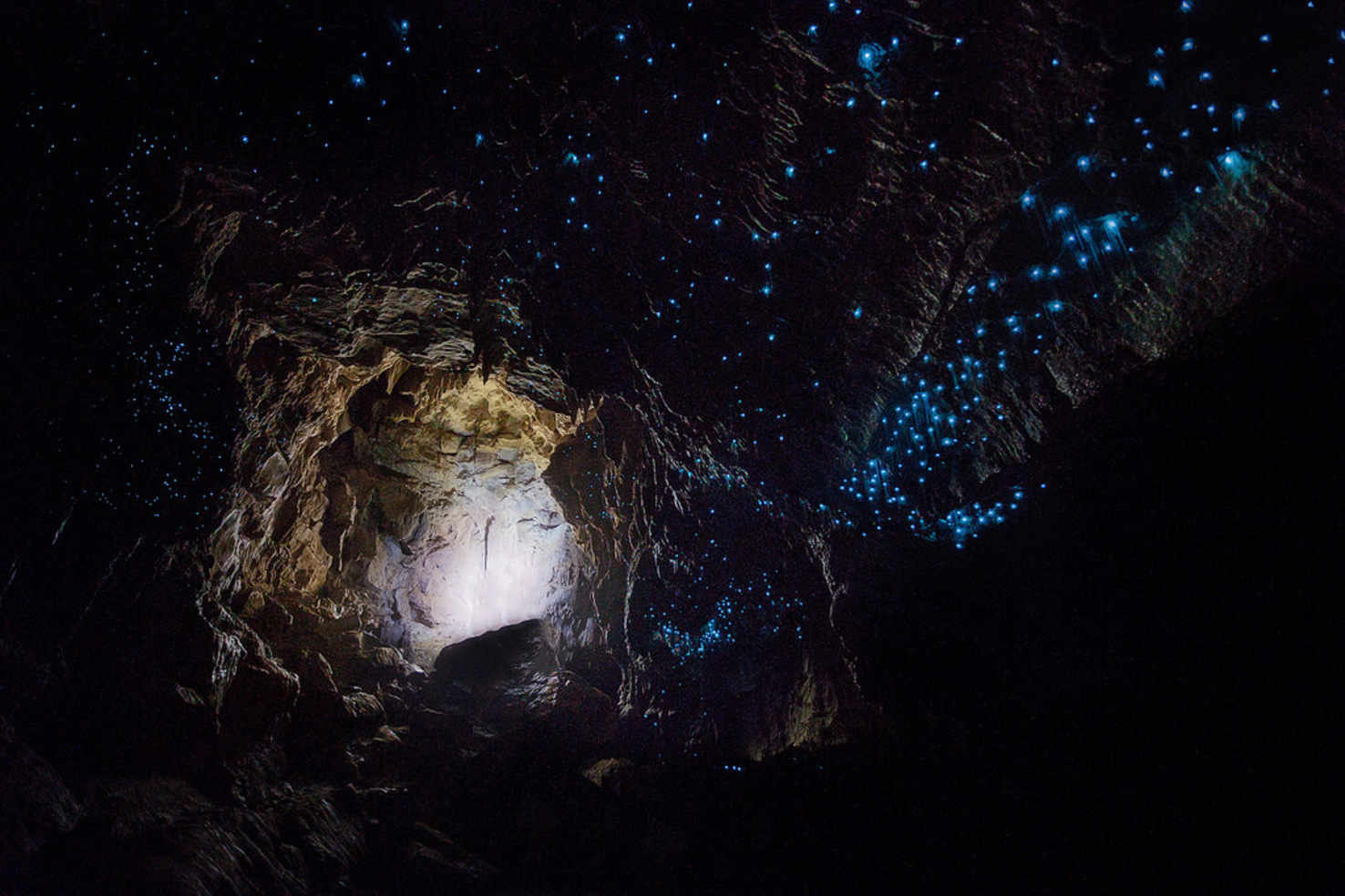 Large waitomo cave