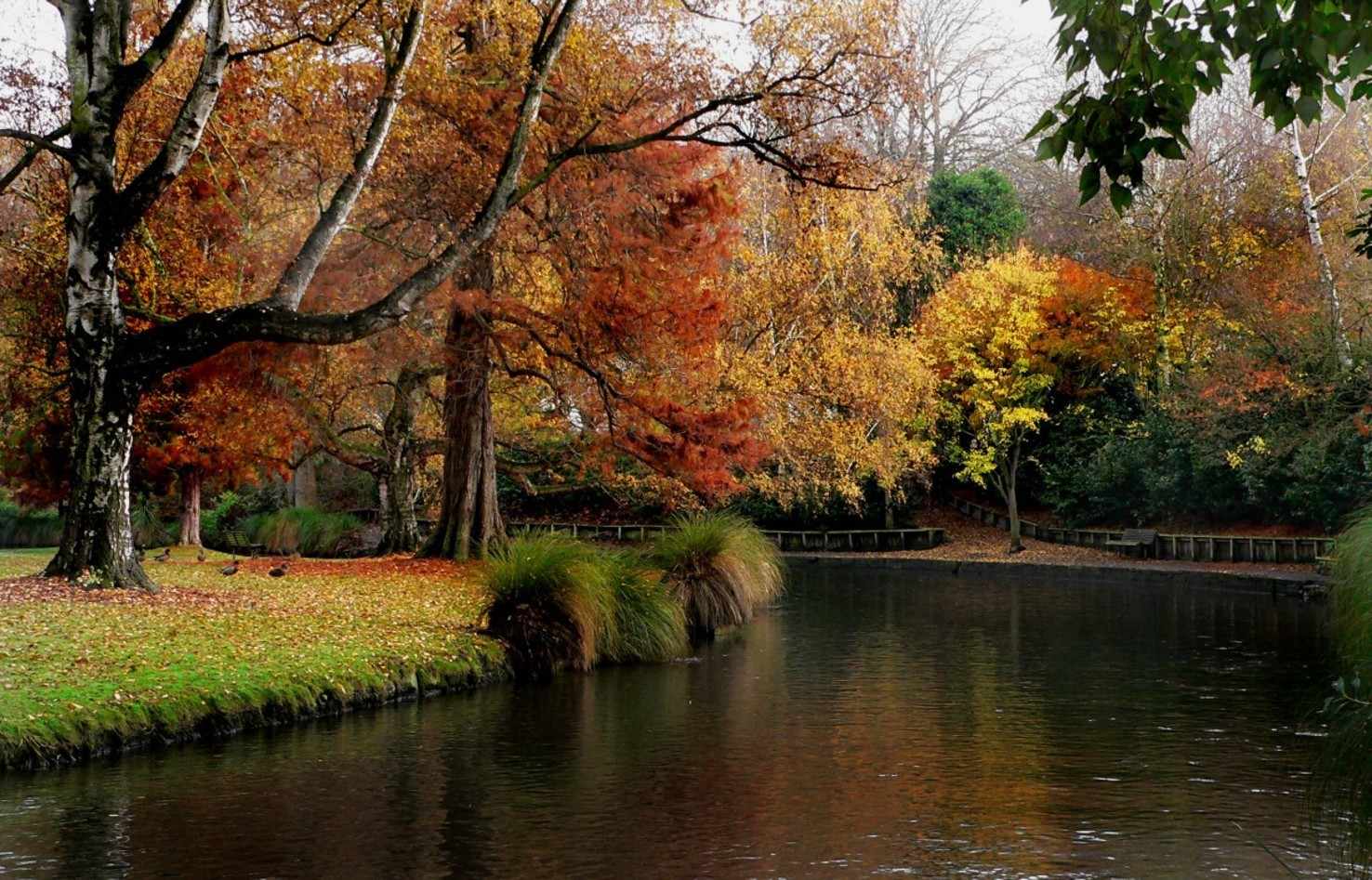 Christchurch Getaway    Vacation Package To New Zealand