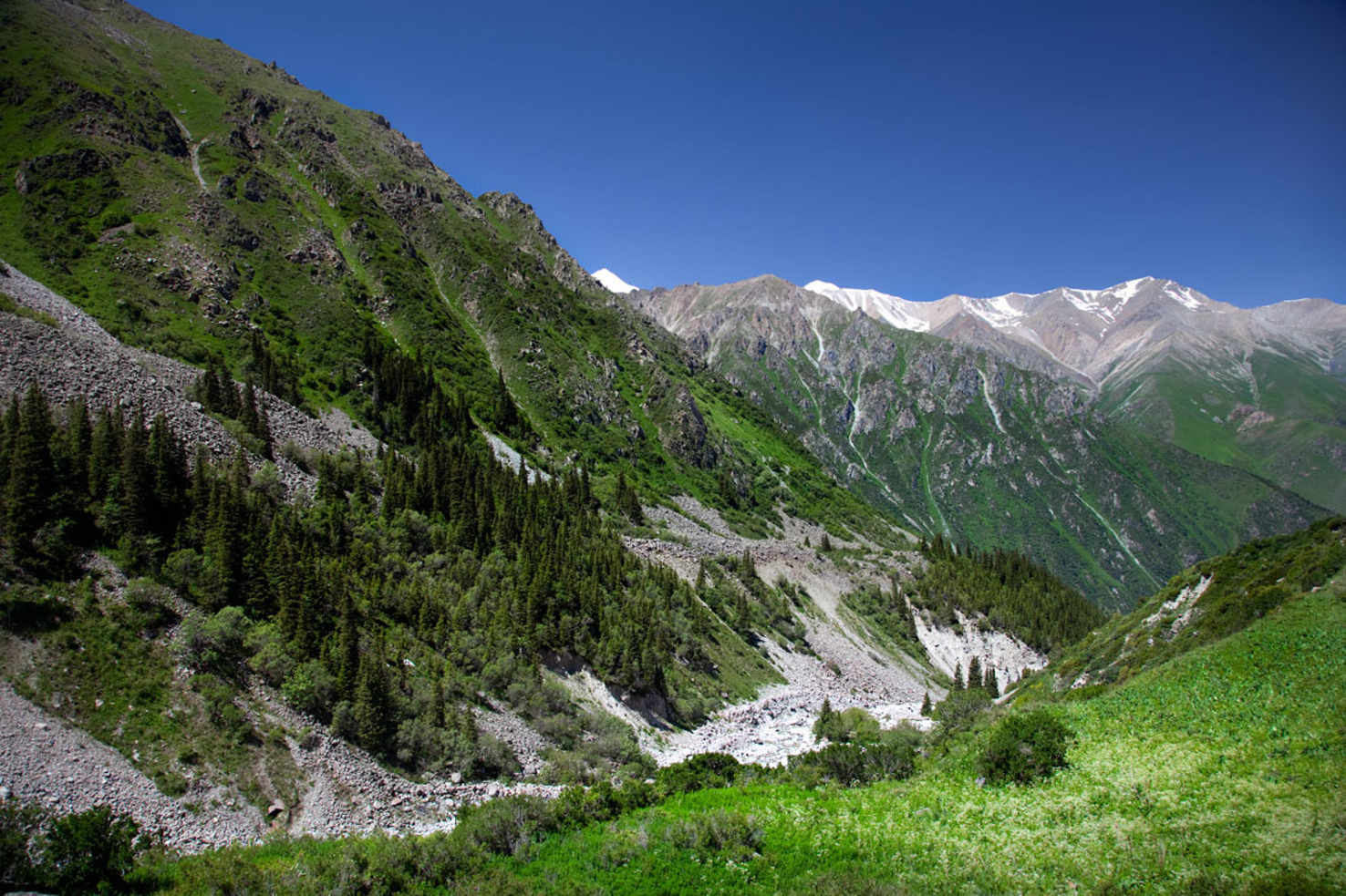 Large kyrgyzstan ala archa