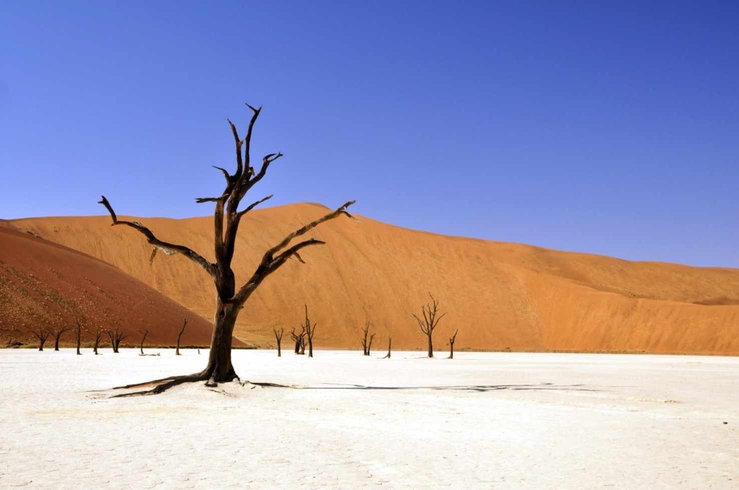 Large namibia desert  2 