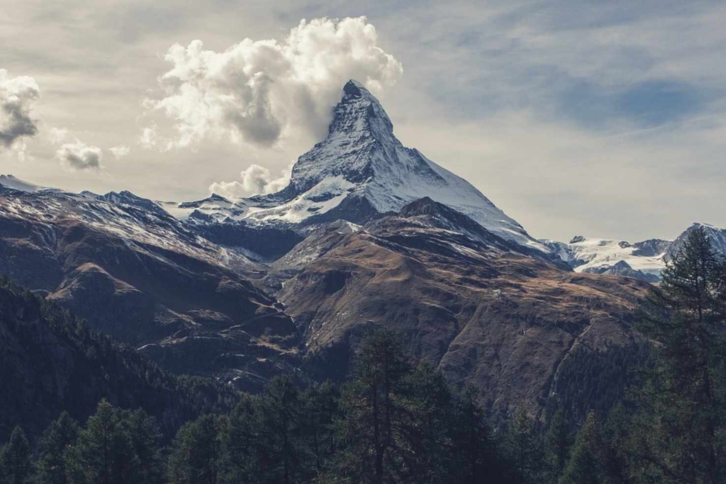 Large zermatt