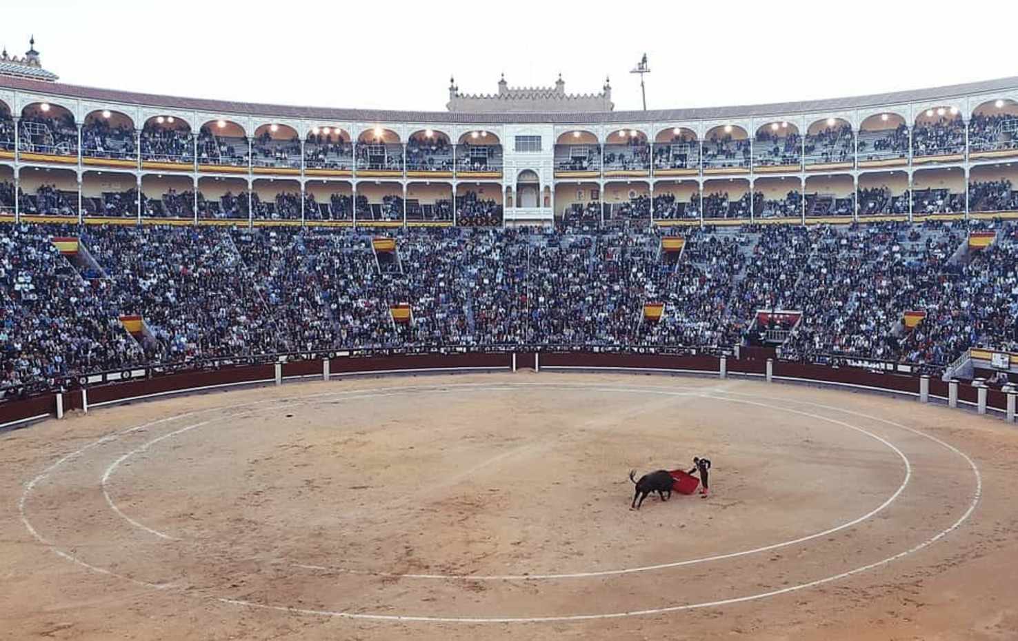 Large spain bullfight