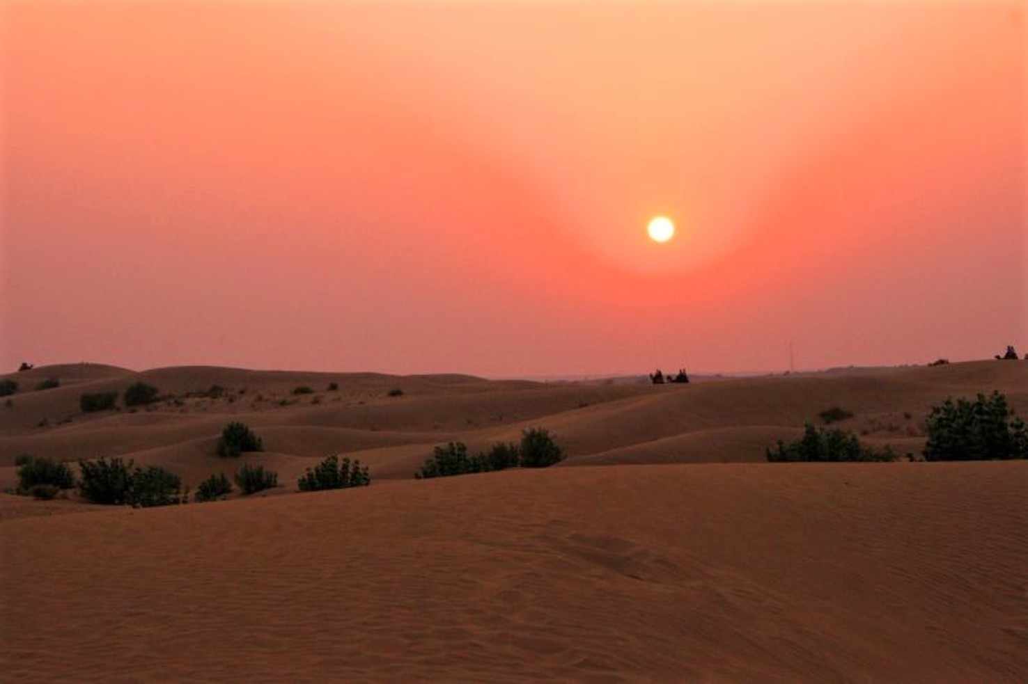 Large thar desert sunset rajasthan india