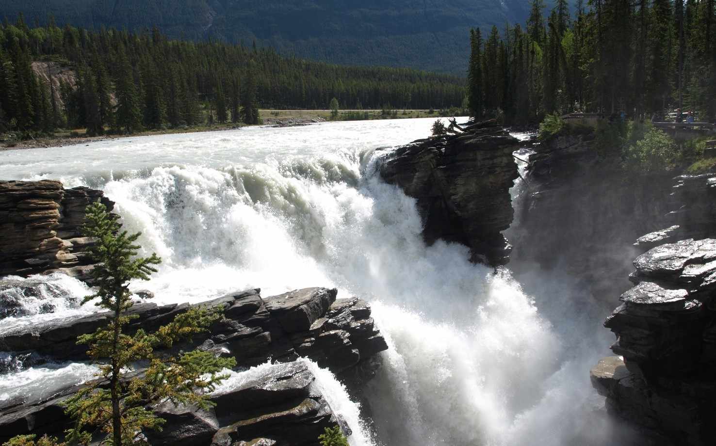 Large athabasca falls jasper  3 