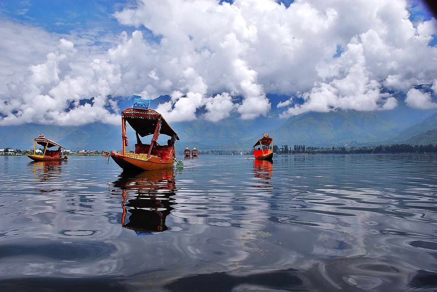 Large shikara in dal lake in kashmir