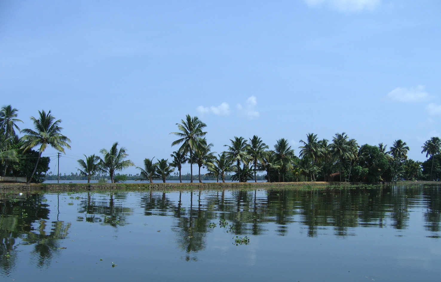 Large scenes fom vembanad lake en route alappuzha kottayam42