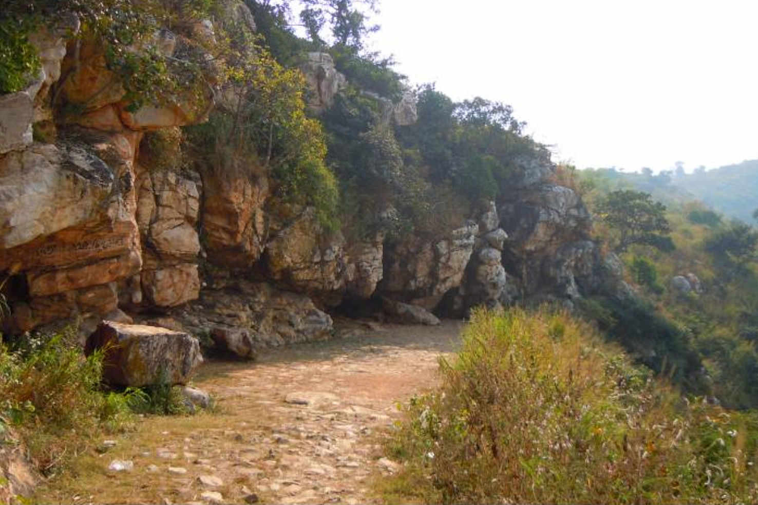 Large saptaparni cave