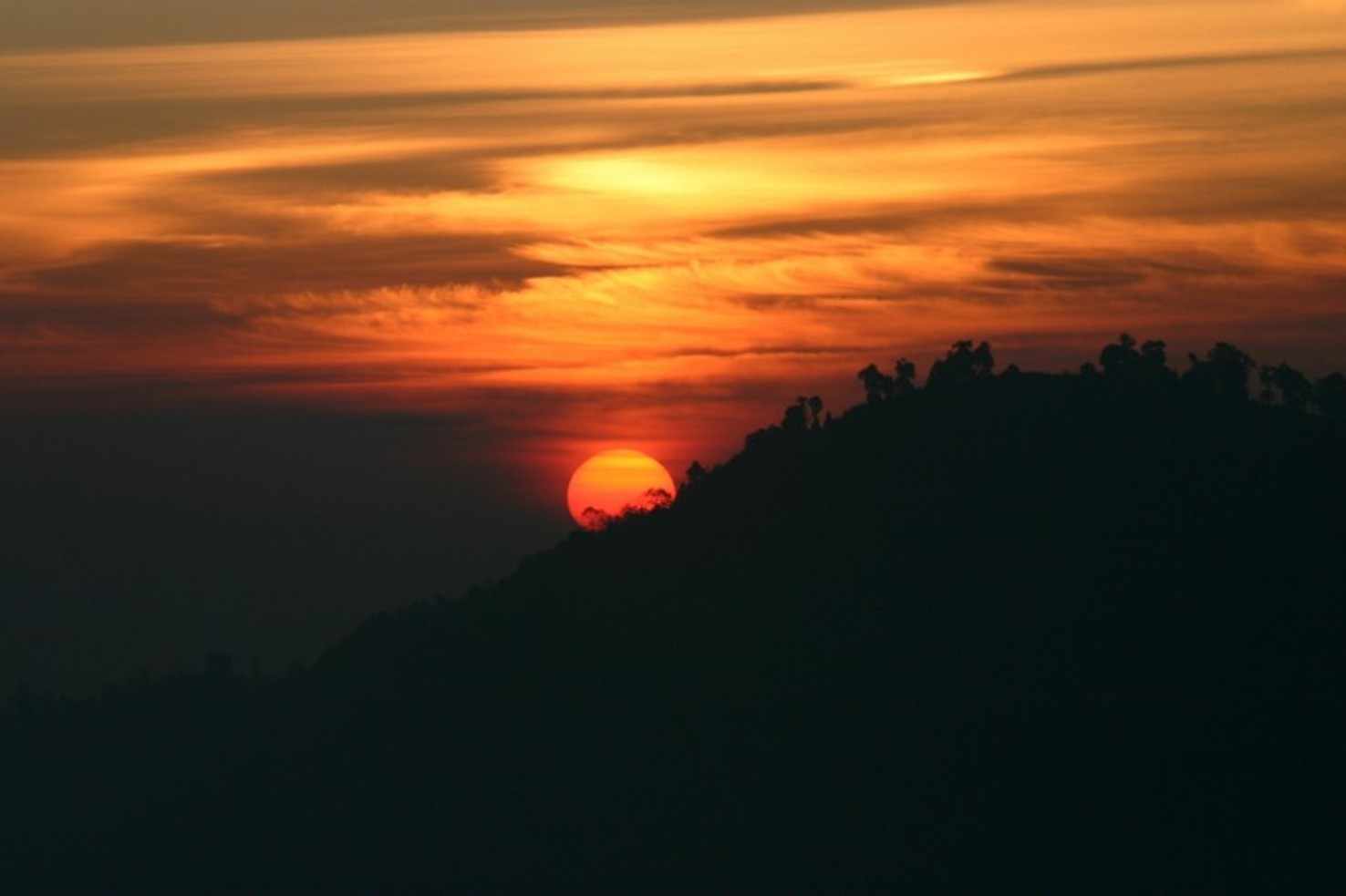 Large darjeeling sunrise