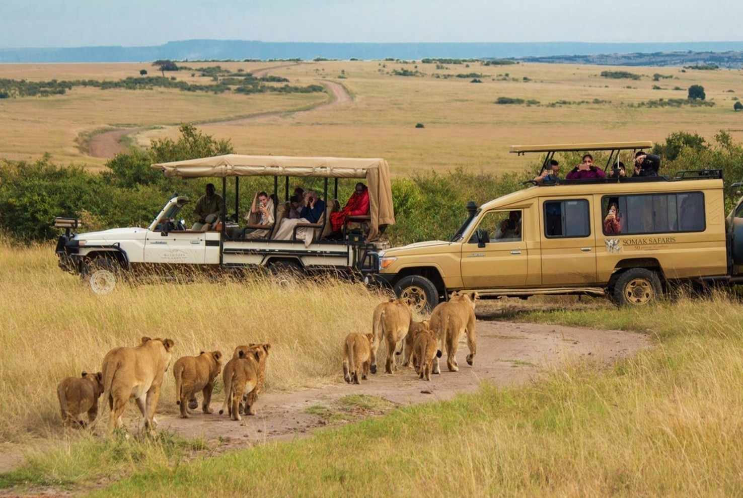 kenya tour packages from nigeria