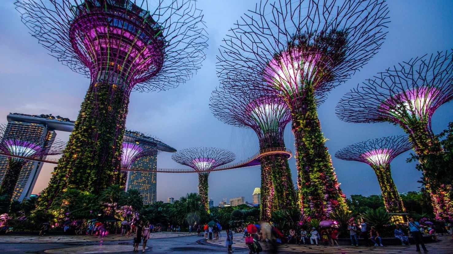 Large garden by the bay